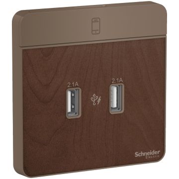 Avataron-2 X 2.1A Usb Charger, Wd