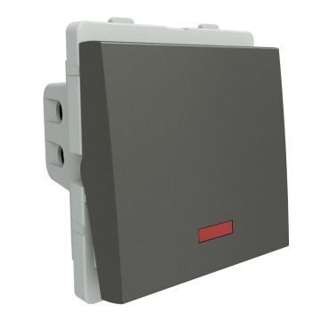 32A DP with indicator lamp switch 2M,painted grey